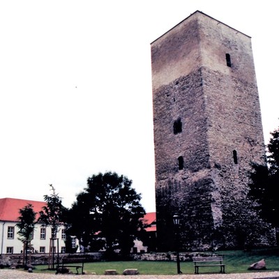 Wanzleben, Burg