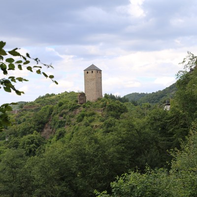 Wildburg (Treis-Karden), Burg