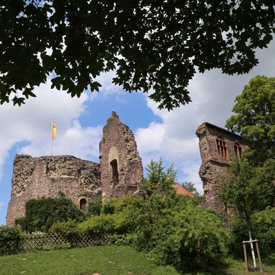 Hayn, Burg