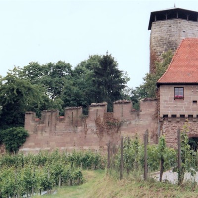 Hohenbeilstein, Burgfalknerei