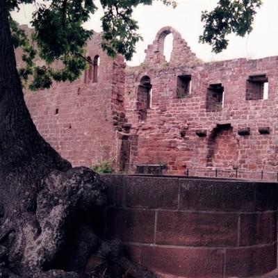 Hohenecken, Burgruine