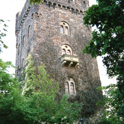 Klopp, Burg