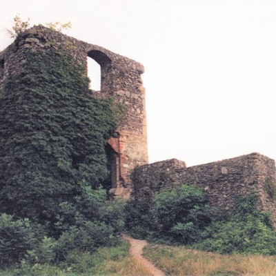 Magdeburg, Burgruine