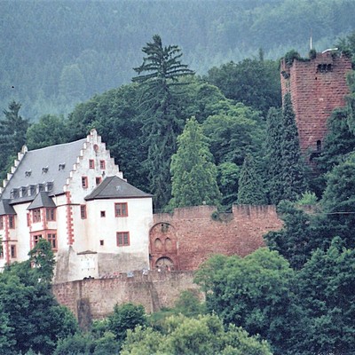 Miltenberg, Burg