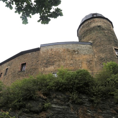 Mylau, Burg