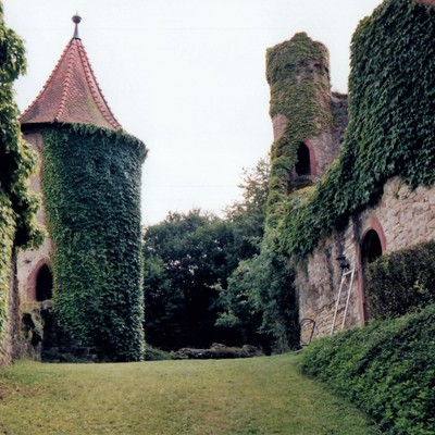 Neidenstein, Burg