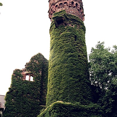 Reichartshausen (Hattenheim), Schloss