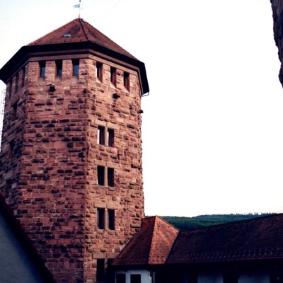 Rieneck (Bavaria), Burg