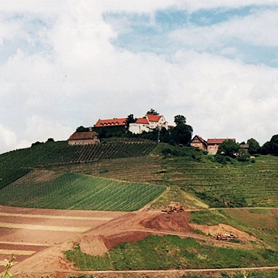 Staufenberg (Durbach), Schloss
